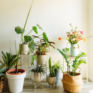 Let’s Get Clean – Non-Toxic Guide